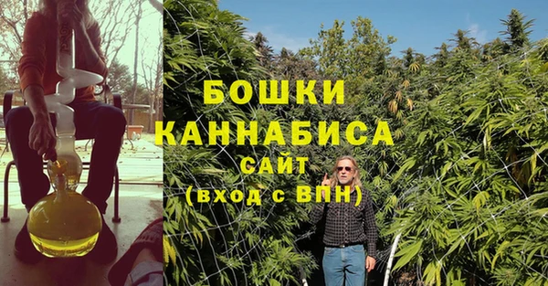 СК Касимов